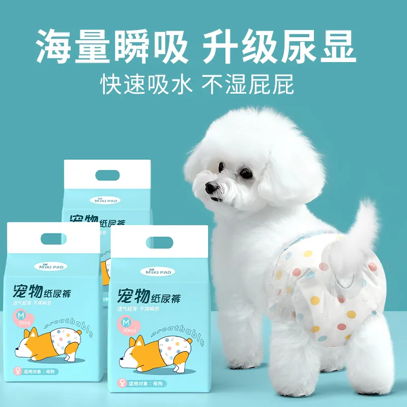 宠物纸尿裤项目封面