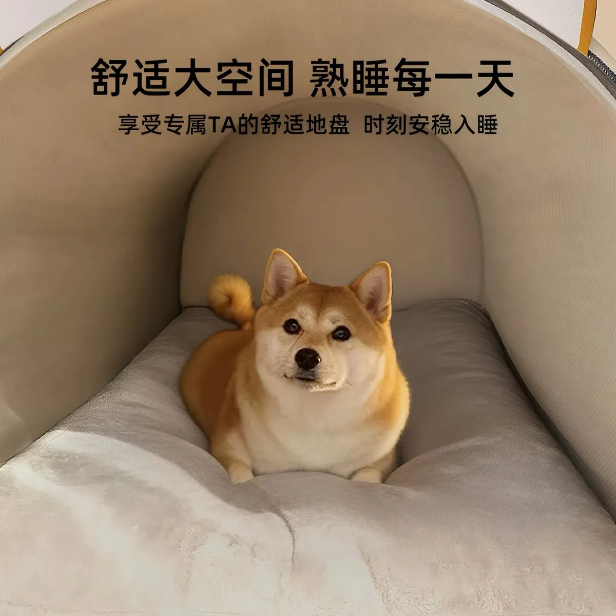 冬季房子窝上架视觉 2