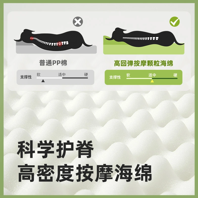恐龙四季窝最终视觉 5